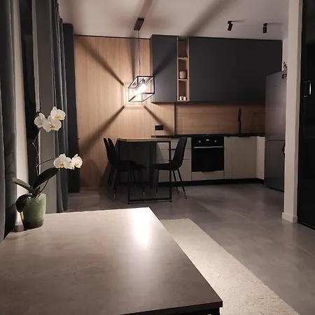 New Loft Style Apartment Uschhorod Exterior foto