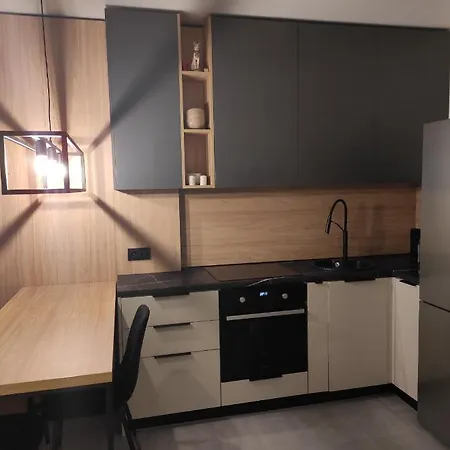 New Loft Style Apartment Uschhorod Exterior foto