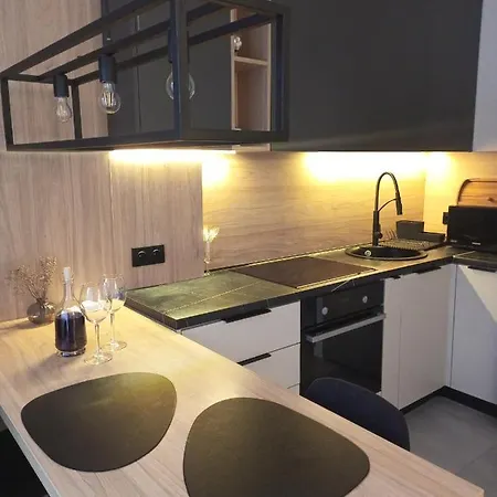 New Loft Style Apartment Uschhorod Exterior foto