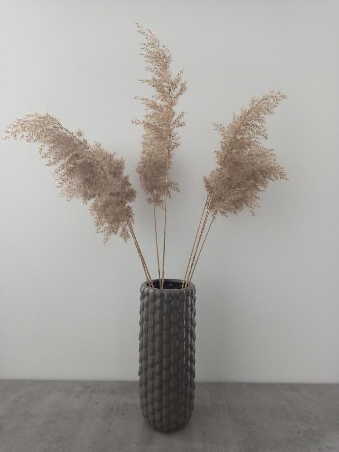 New Loft Style شقة *